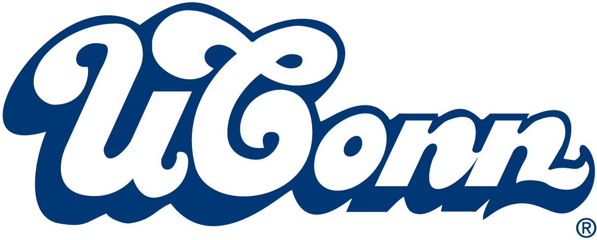 UConn Huskies 0-1995 Wordmark Logo iron on transfers for clothing...